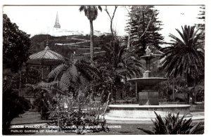 Real Photo, Public Gardens of Angra Terceira, Azores, Portugal