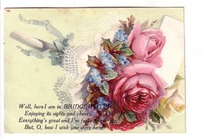 Rose Bouquet, Here I am in Bridgewater Poem,  Nova Scotia, 1908