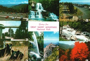 Vintage Postcard Greetings From Great Smokey Mountains National Park South East