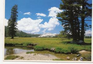 BF13772 yosemite national park california USA  front/back image