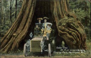 Vancouver British Columbia BC Women in Car in Giant Cedar Tree c1910 Postcard