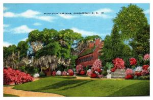 Vintage Postcard Middleton Gardens, Charleston, SC --51