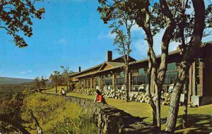 Dining Room Outlook Volcano House Big Island Hawaii 1960s postcard