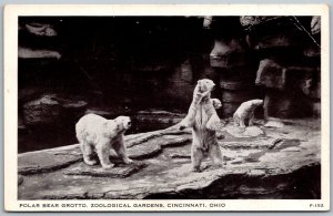 Cincinnati Ohio 1940s Postcard Polar Bear Grotto ZOO Zoological Gardens