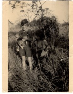 Children with Cat, Vintage Black and White Photo 3.5 X 4.5  1950