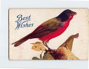 Postcard Best Wishes with Birds Picture