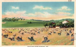 VINTAGE POSTCARD ROLLING HILLS AND FARMHOUSE AT EDINBURG INDIANA MAILED 1940