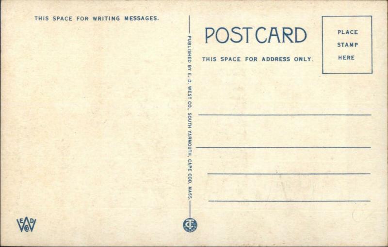 Craigville Cape Cod MA Beach Scene c1920 Postcard