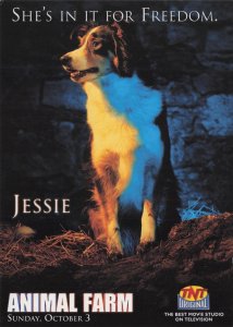 Jim Henson's Animal Farm Dog TNT Film Advertising Postcard
