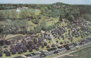 Aerial View of Highland Park at Lilac Time - Rochester, New York