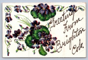 J89/ Brighton Colorado Postcard c1910 Glitter Greetings from Brighton 405