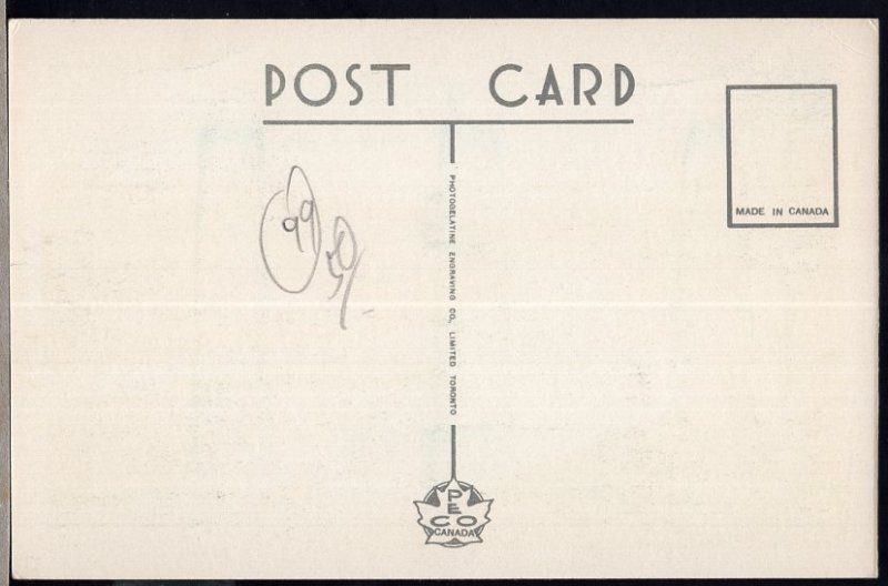 New Brunswick ~ SAINT JOHN Rockwood Park PECO - White Border