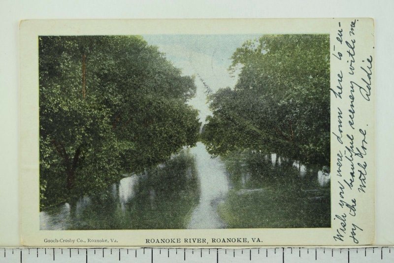 C.1910 Roanoke River, Roanoke, VA. Vintage Postcard P52