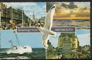 Dorset Postcard - Greetings From Weymouth    DP703