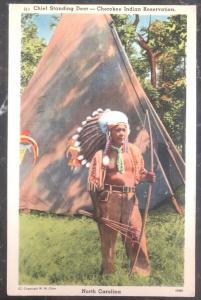 Mint USA PPC Picture Postcard Native American Indian Chief Standing Deer Cheroke