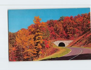 Postcard Autumn Scene, Tunnel On The Blue Ridge Parkway