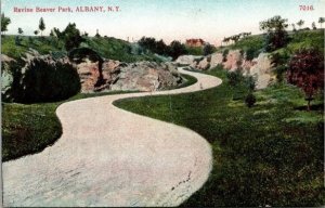 Vintage Postcard Ravine Beaver Park Albany, New York KA10