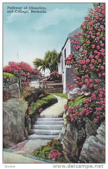 Pathway of Oleanders and Cottage, Bermuda, PU-1938