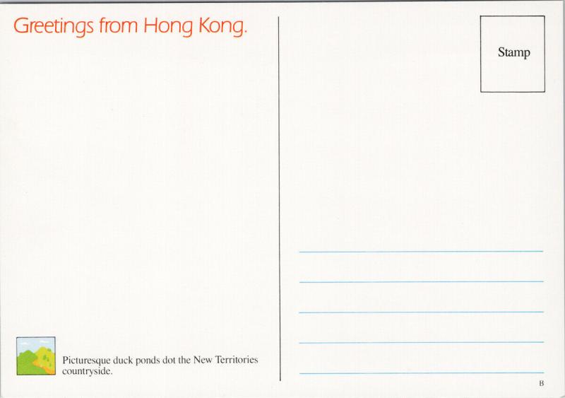 Duck Pond Ducks New Territories China Greetings from Hong Kong Postcard F6