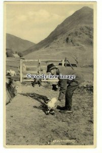 tq2473 - Cumbria - Sheep and Lambs being Vetted at a Buttermere Farm - Postcard 