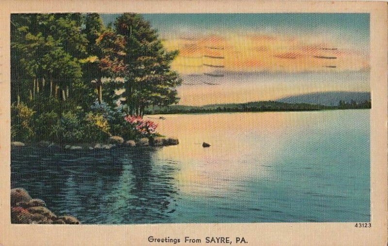 Postcard Greetings Sayre PA