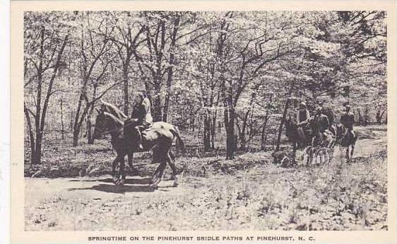 North Carolina Pinehurst Springtime On The Pinehurst Brddle Paths Albertype