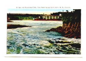 Bridges Falls Tide Running Saint John New Brunswick