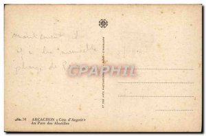 Old Postcard Arcachon Cote D & # 39Argent At Parc Des Abatilles