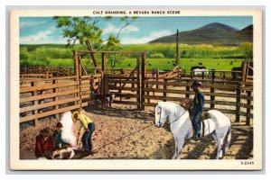 Calf Branding Nevada Ranch Scene NV UNP Unused Linen Postcard O20