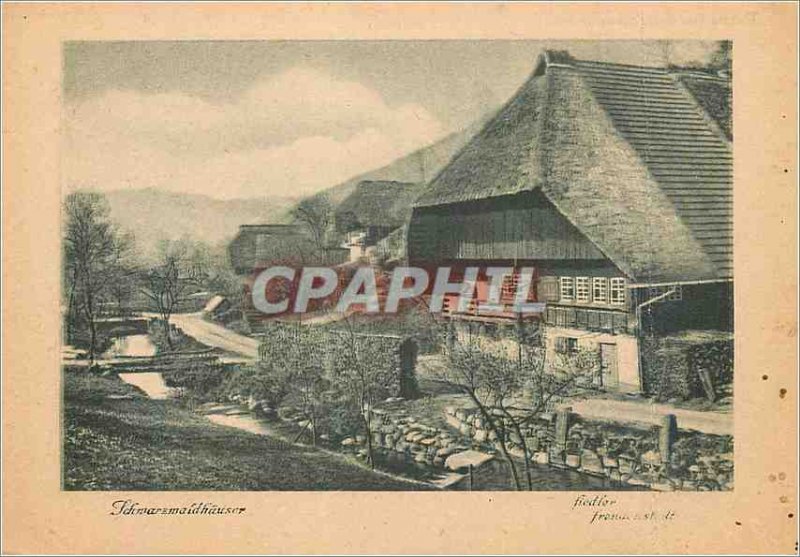 Postcard Modern Party aus dem Schapbachtal