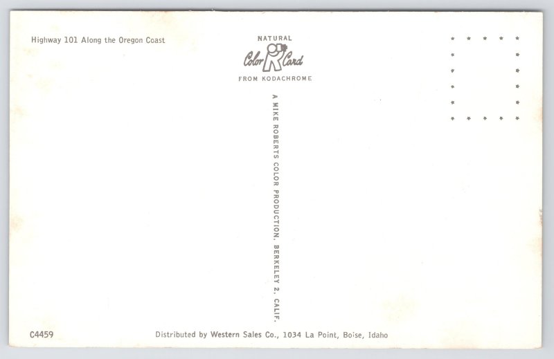 Oregon~Highway 101 Coastal View~1950s Postcard