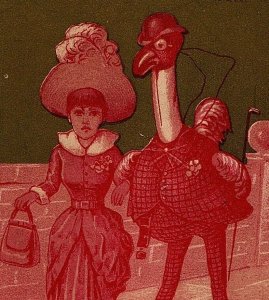 Captured By Dude Trade Card Victorian Anthropomorphic Ostrich E R Webster & Co 