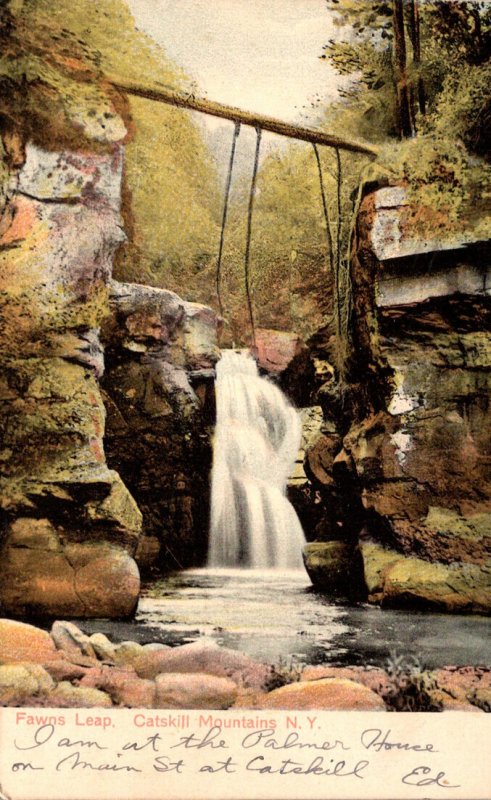 New York Catskills Fawns Leap 1905