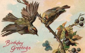 Birthday Greetings Birds Resting Best Wishes And Greetings Vintage Postcard