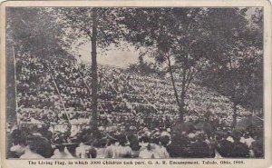 Ohio Toledo The Living Flag In Which 3000 Children Took Part G A R Encampment...