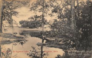 Fremont Lake Michigan~Catch a Glimpse @ Martin's Boat Livery* Through Trees~1910 