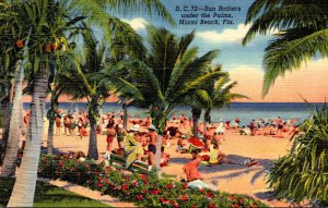 Florida Miami Beach Sun Bathing Under The Palms Curteich