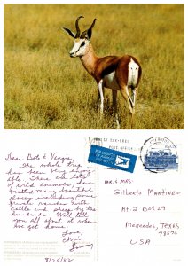 Springbok, South Africia