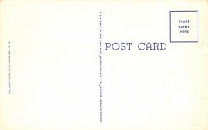 Bee Bee Island Watertown, New York Postcard