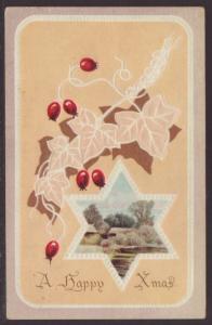 A Happy Christmas,Berries Postcard 