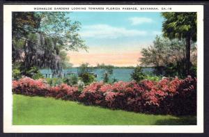 Wormsloe Gardens,Savannah,GA