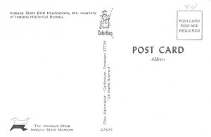 Cardinal Indiana State Bird, USA Postcard
