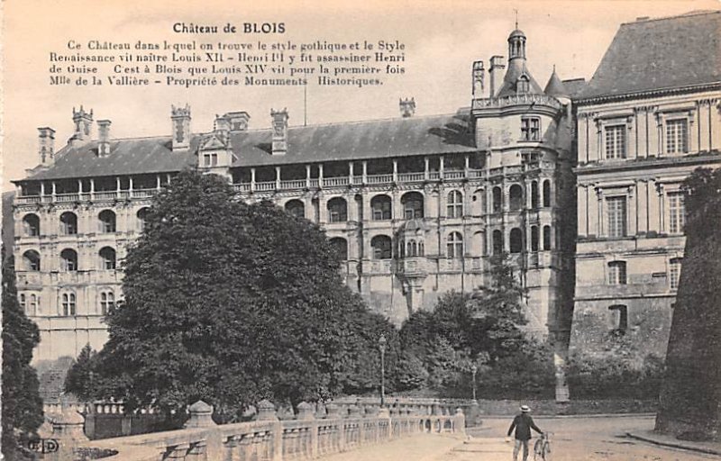 Chateau de Blois France Unused 