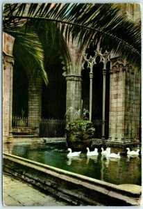 M-17723 Cloister and ducks Barcelona Cathedral Barcelona Spain