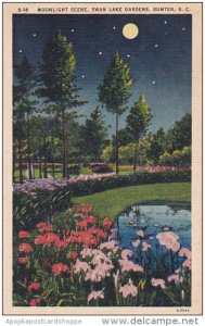 South Carolina Sumter Moonlight Scene Swan Lake Gardens