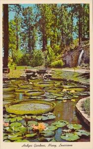 Louisiana Many Hodges Gardens