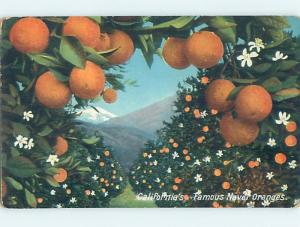 Divided-Back ORANGE GROVE Postmarked Glendora California CA HJ7301