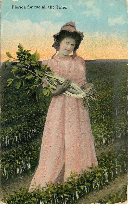 Artist impression 1915 Farm Agriculture Woman Florida postcard 9835