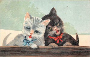 A PAIR OF CATS EMBOSSED POSTCARD (c. 1910) **