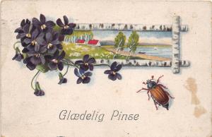 BG4028 Glaedelig pinse  pfingsten pentecost beetle  netherlands greetings